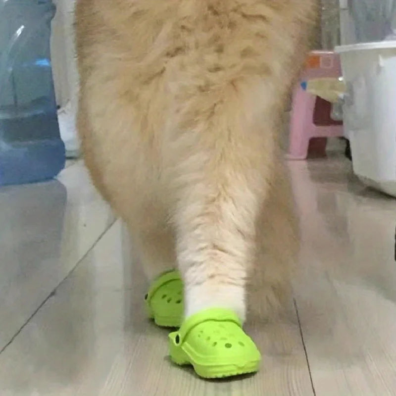 Cat Crocs