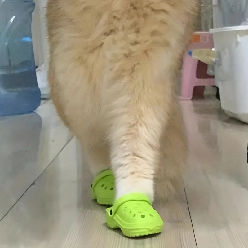 Cat Crocs