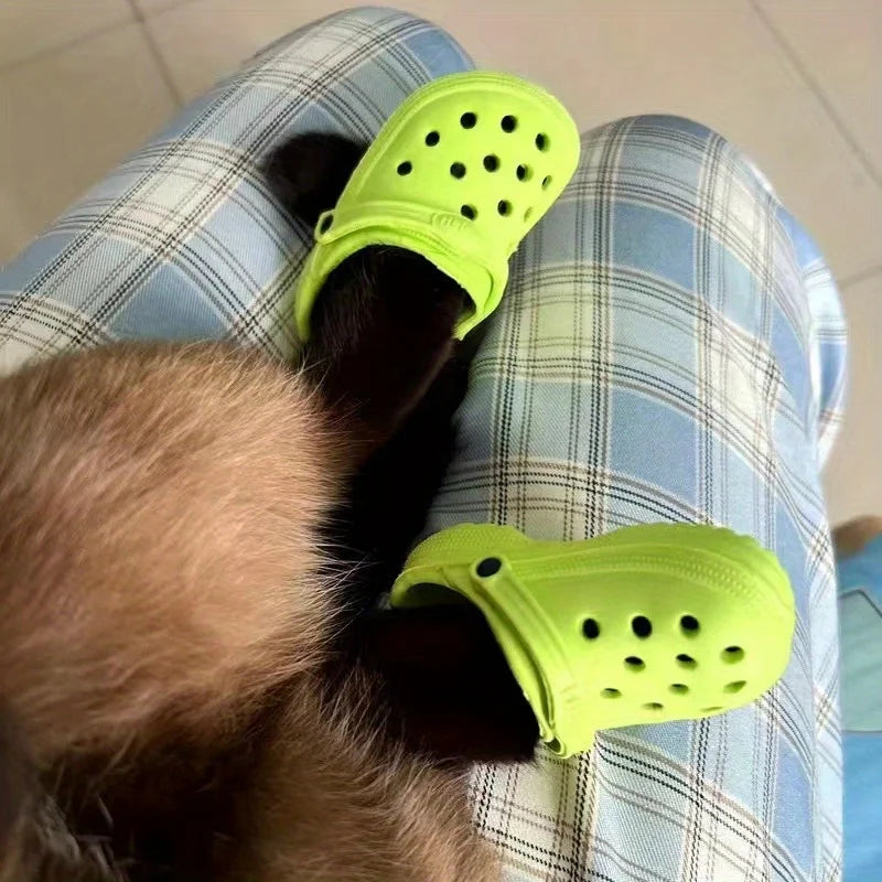 Cat Crocs