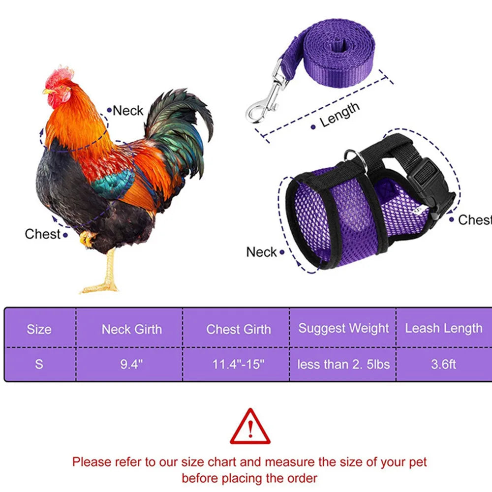 Chicken Harness