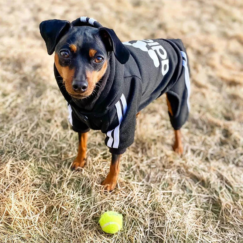 Dog Fit