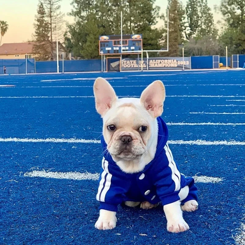 Dog Fit