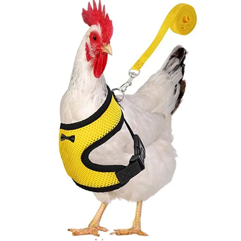 Chicken Harness