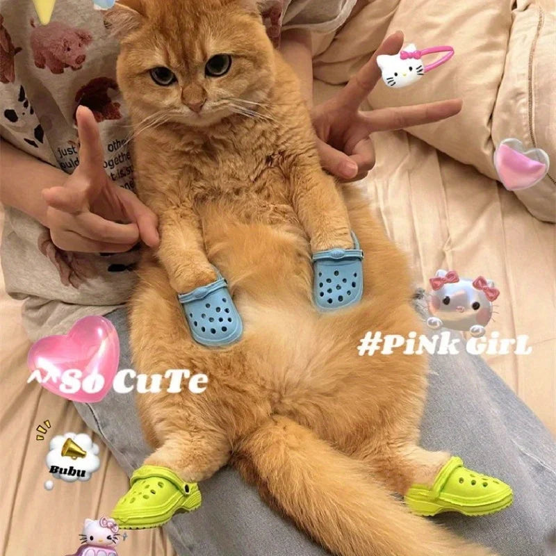Cat Crocs