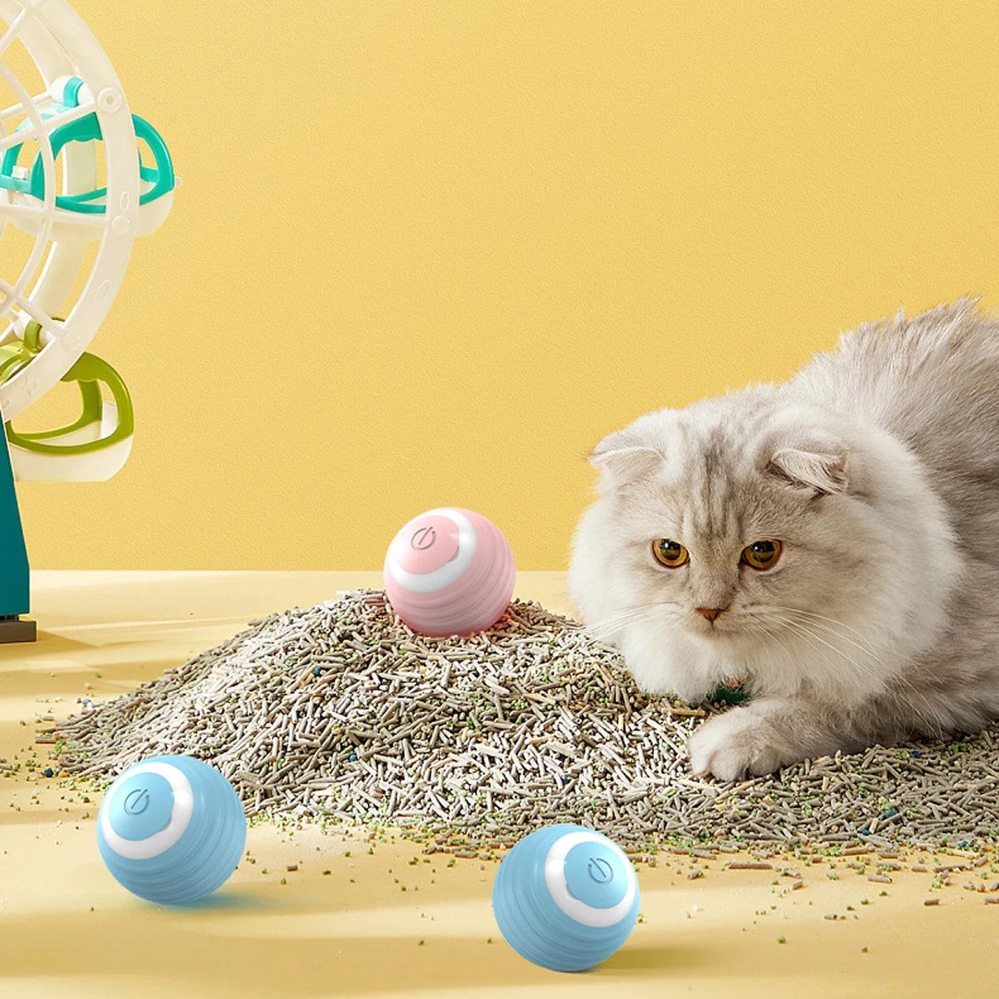 Auto Cat Ball