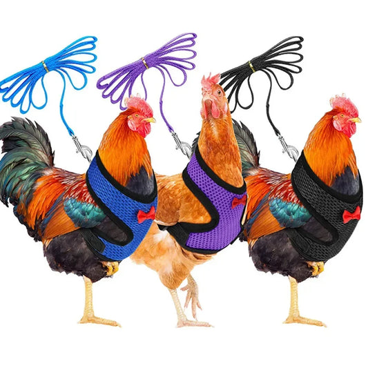 Chicken Harness
