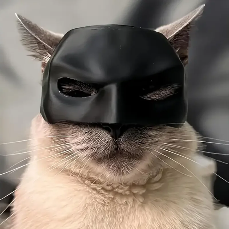Catman
