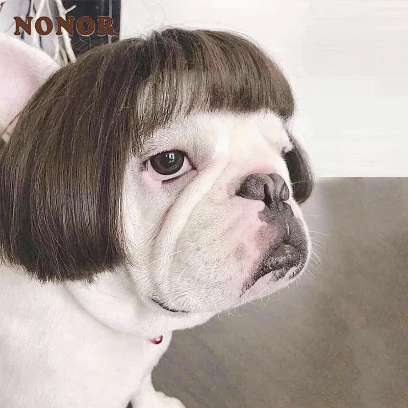 Wigs for furry kids
