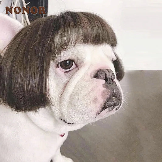 Wigs for furry kids