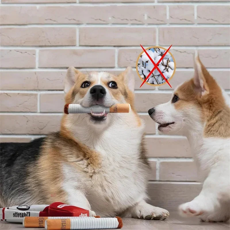 Dog Durries