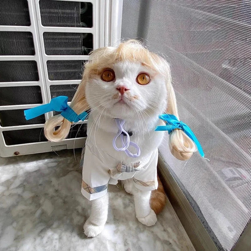 Wigs for furry kids