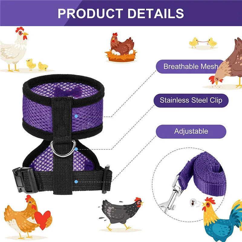 Chicken Harness