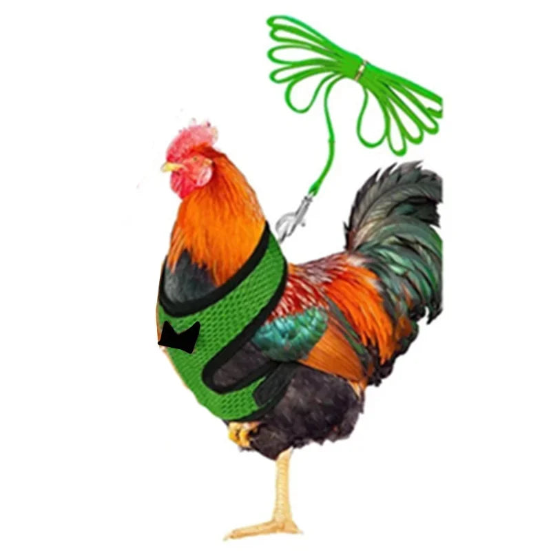 Chicken Harness