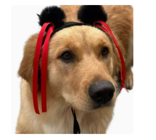 Wigs for furry kids