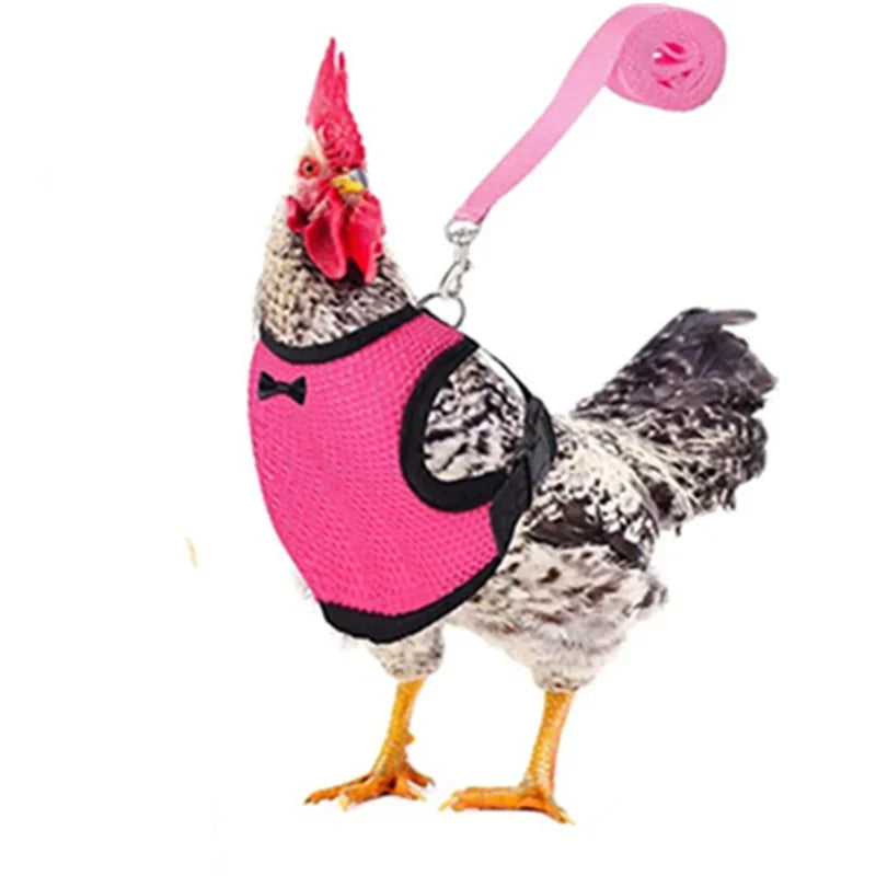 Chicken Harness