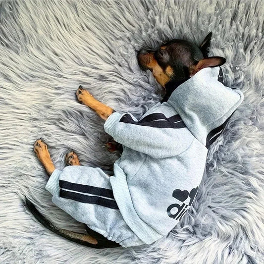Dog Fit