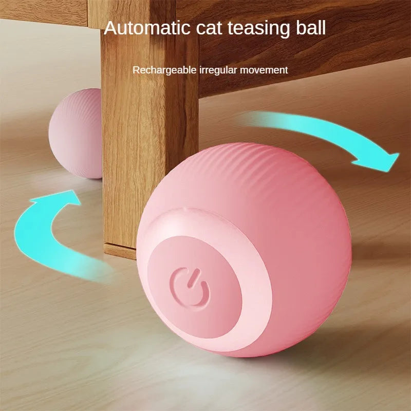 Auto Cat Ball