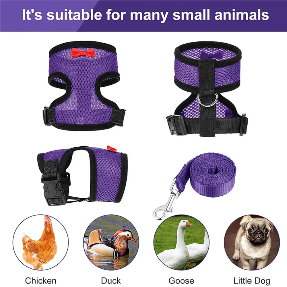 Chicken Harness