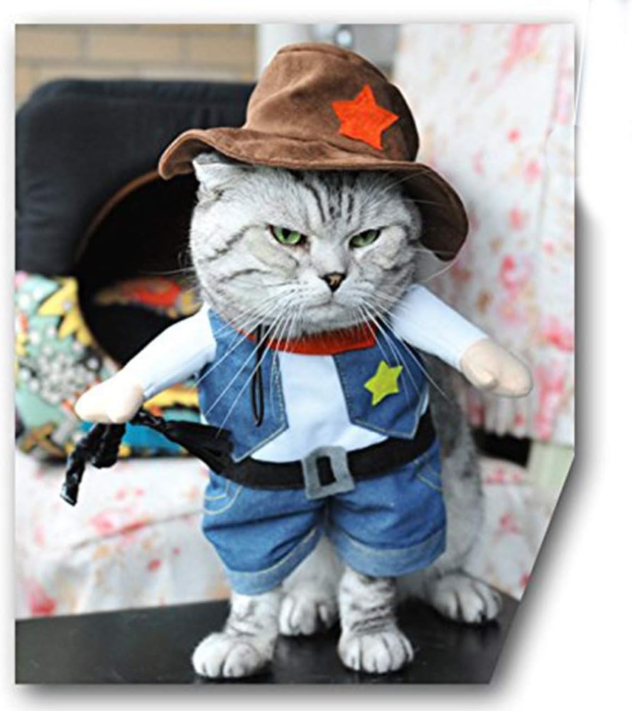 Old West Vest