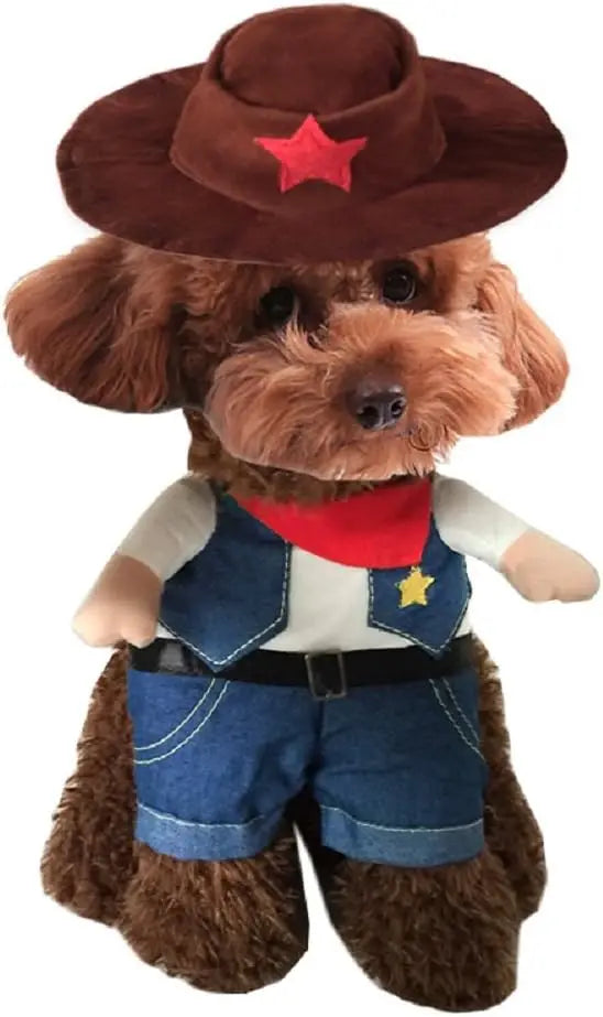 Old West Vest