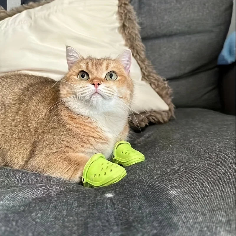 Cat Crocs