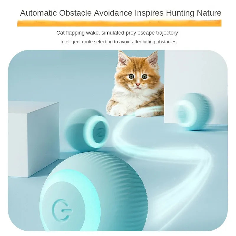 Auto Cat Ball