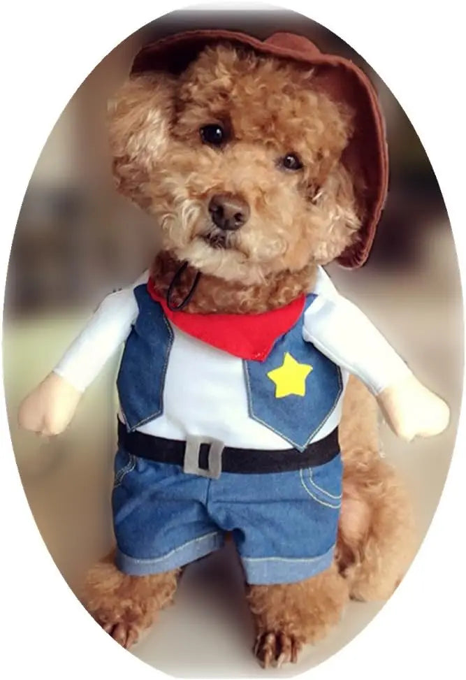 Old West Vest