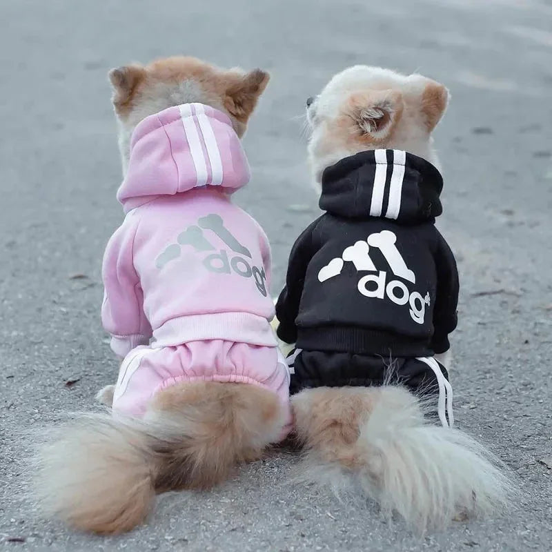 Dog Fit
