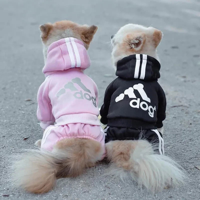 Dog Fit