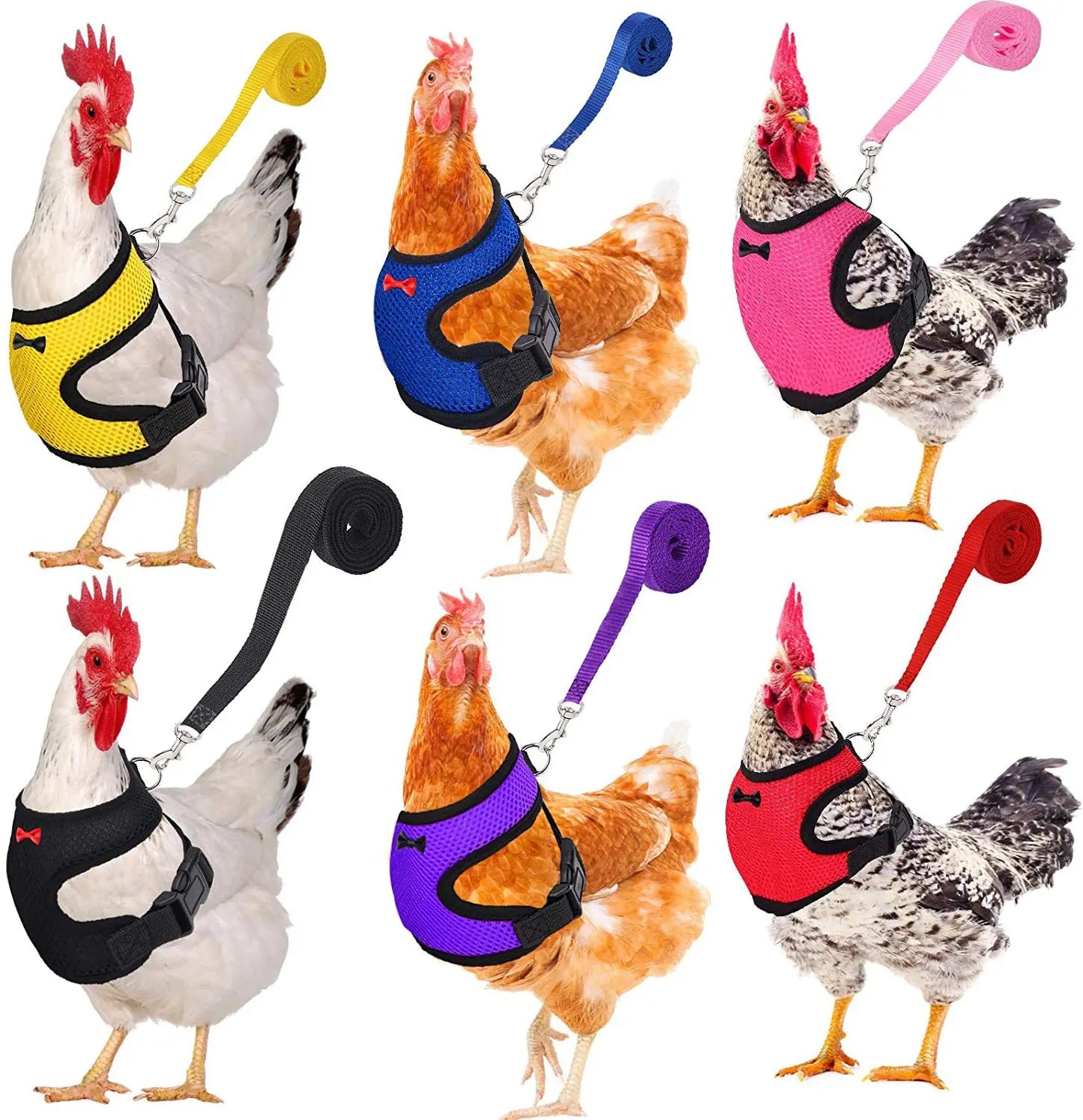 Chicken Harness