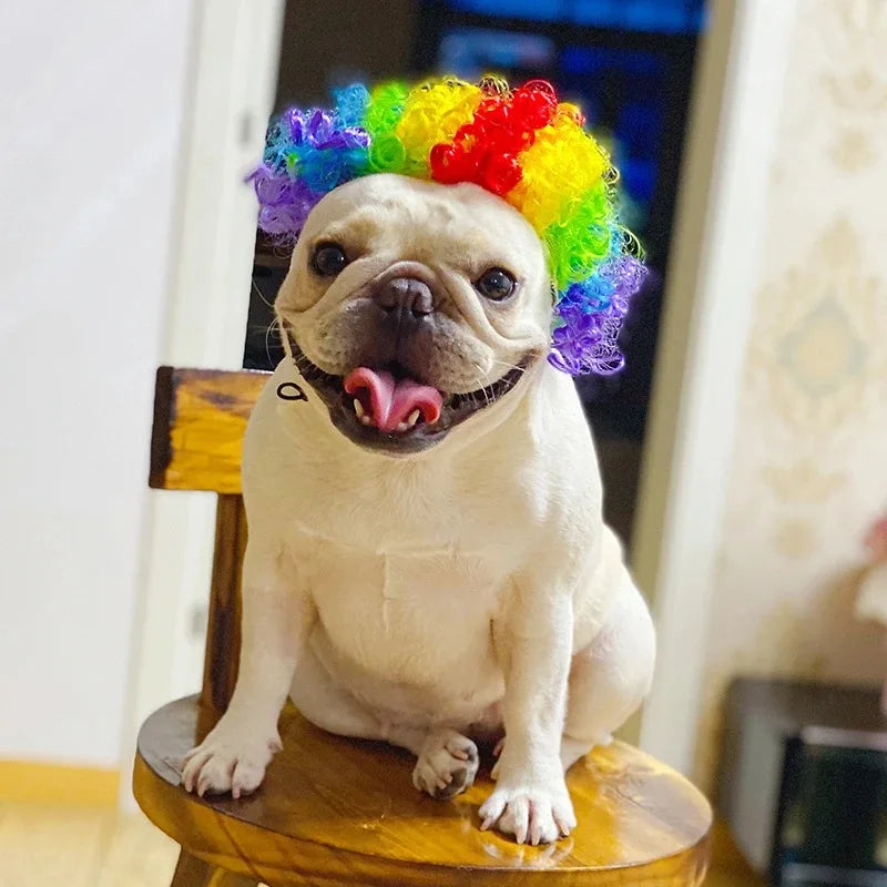 Wigs for furry kids