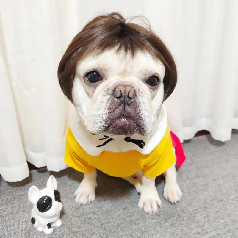 Wigs for furry kids