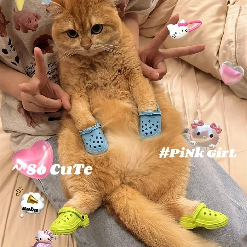 Cat Crocs