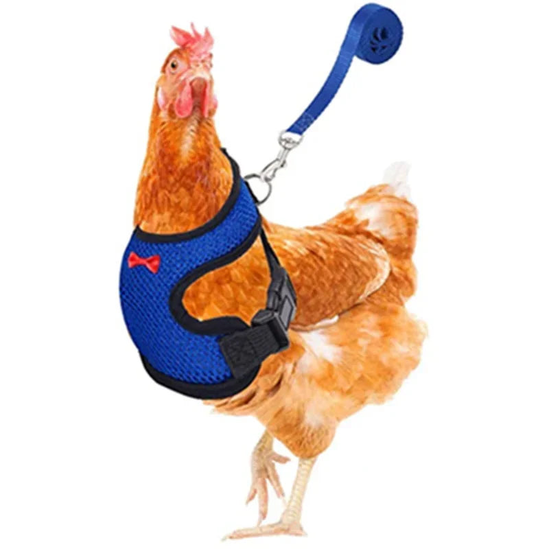 Chicken Harness