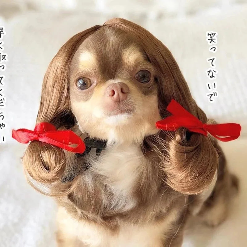 Wigs for furry kids
