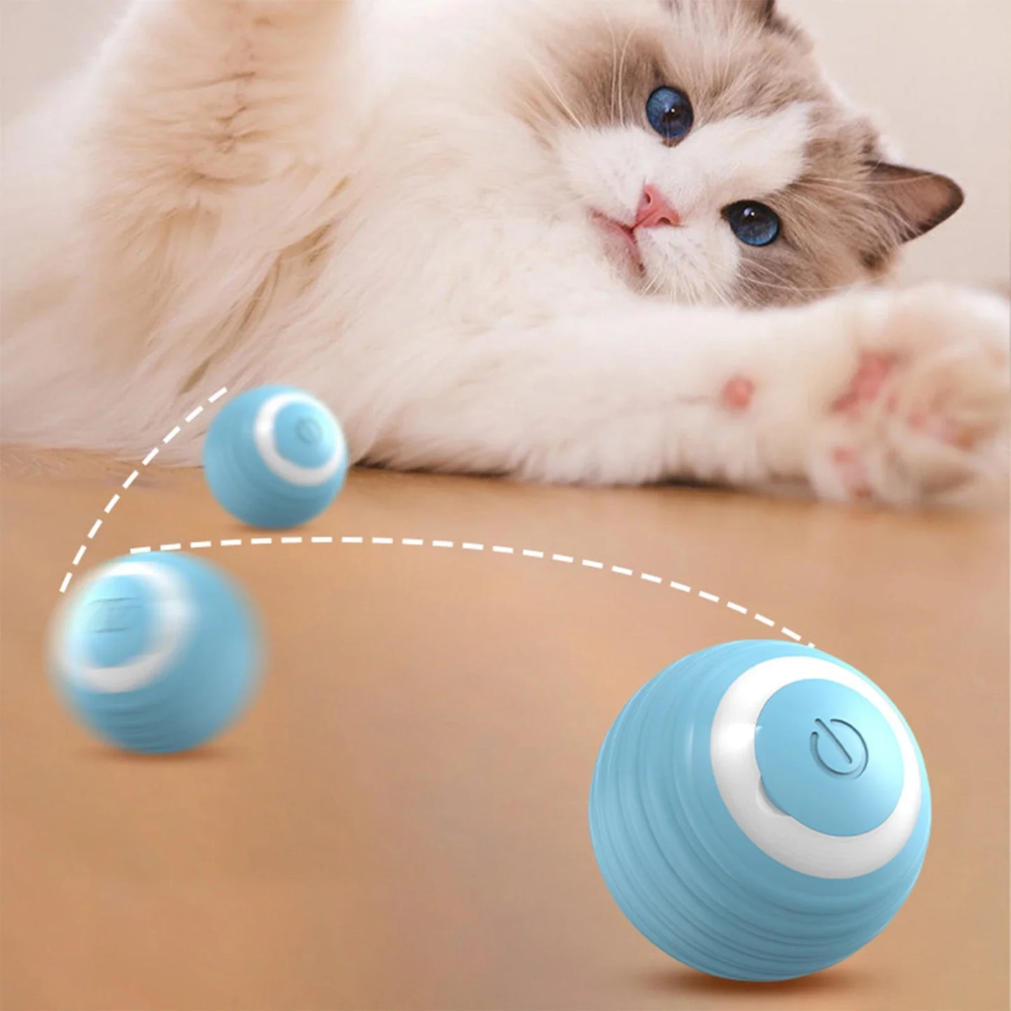 Auto Cat Ball