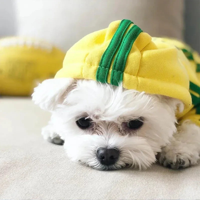 Dog Fit