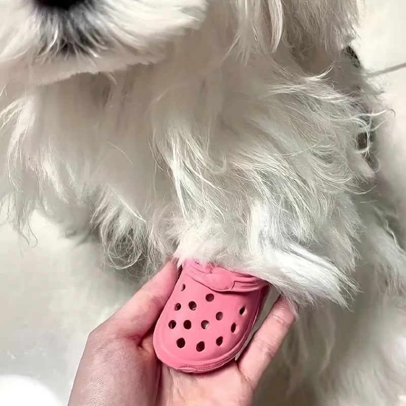 Cat Crocs