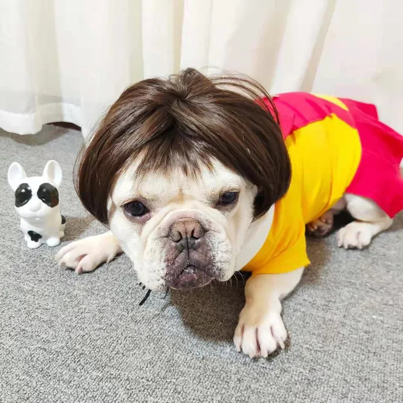 Wigs for furry kids