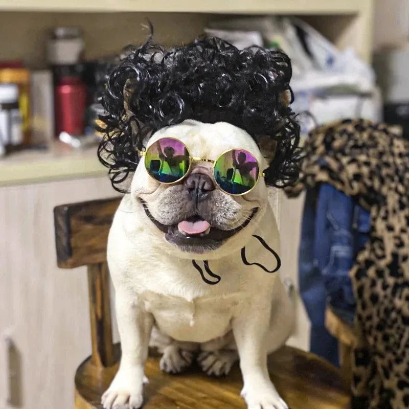 Wigs for furry kids