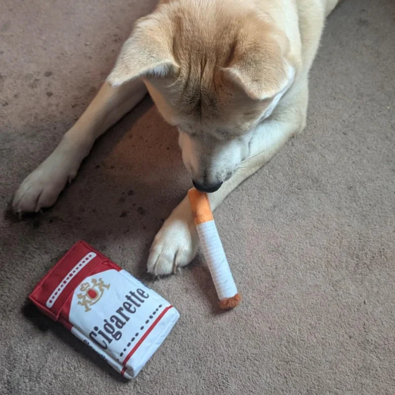 Dog Durries