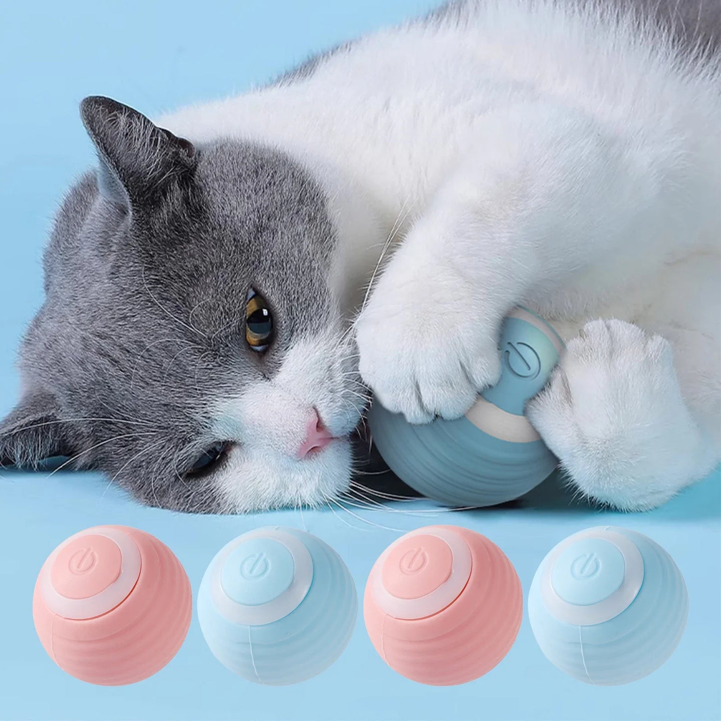Auto Cat Ball