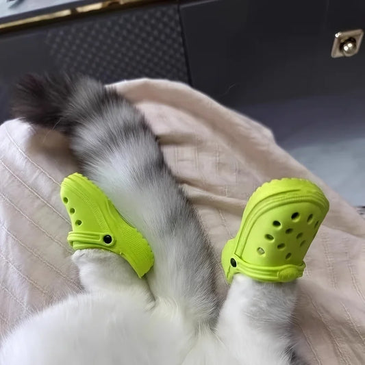 Cat Crocs