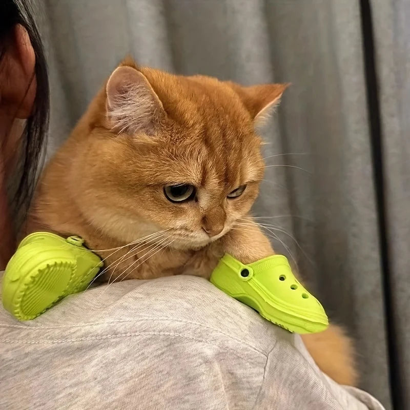 Cat Crocs