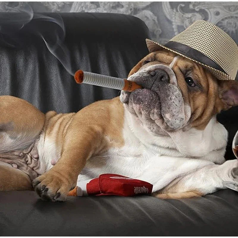 Dog Durries
